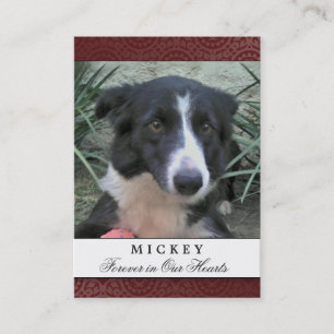 Pet Memorial Card Maroon Photo - Contented Poem