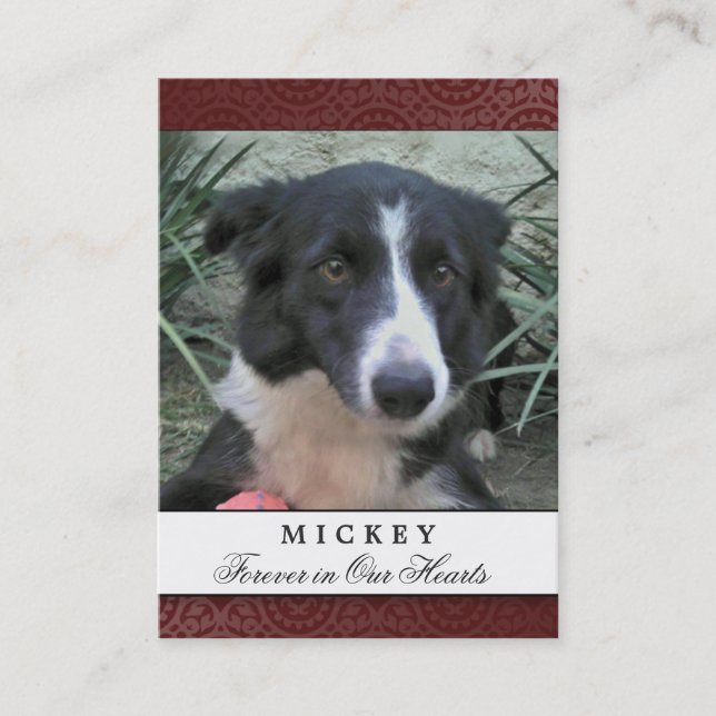 Pet Memorial Card Maroon Photo - Contented Poem (Front)