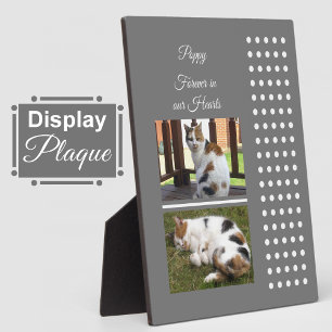 Pet memorial cat grey and white add photos plaque