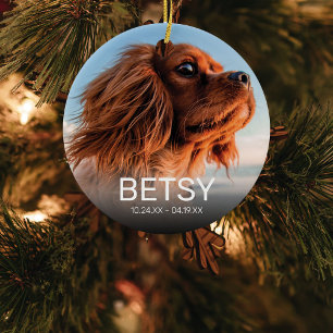 Pet Memorial Christmas Keepsake Ceramic Tree Decoration