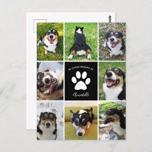 Pet Memorial Custom Dog Collage In Loving Memory Postcard