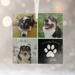 Pet Memorial Custom Dog Photo Collage Christmas Glass Tree Decoration<br><div class="desc">This beautiful custom dog photo memorial Christmas ornament is personalised with adorable pictures and memories of your sweet pup. Customise this thoughtful condolence gift with your own custom pet photographs around a black square with a pretty white paw print and your dog's name in the centre to express your sympathy....</div>