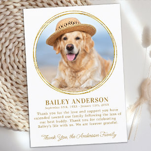 Pet Memorial Custom Photo Elegant Gold Sympathy Thank You Card