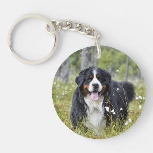 Pet Memorial - Dog Pet Photo - Rainbow Pet Loss Key Ring