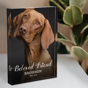 Pet Memorial   Dog Photo Beloved Friend Block