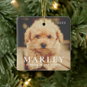 Pet Memorial Forever Hearts Simple Elegant Photo Ceramic Ornament