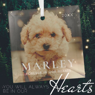 Pet Memorial Forever Hearts Simple Elegant Photo Glass Tree Decoration