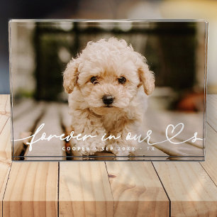 Pet Memorial Forever Hearts Simple Modern Photo Block