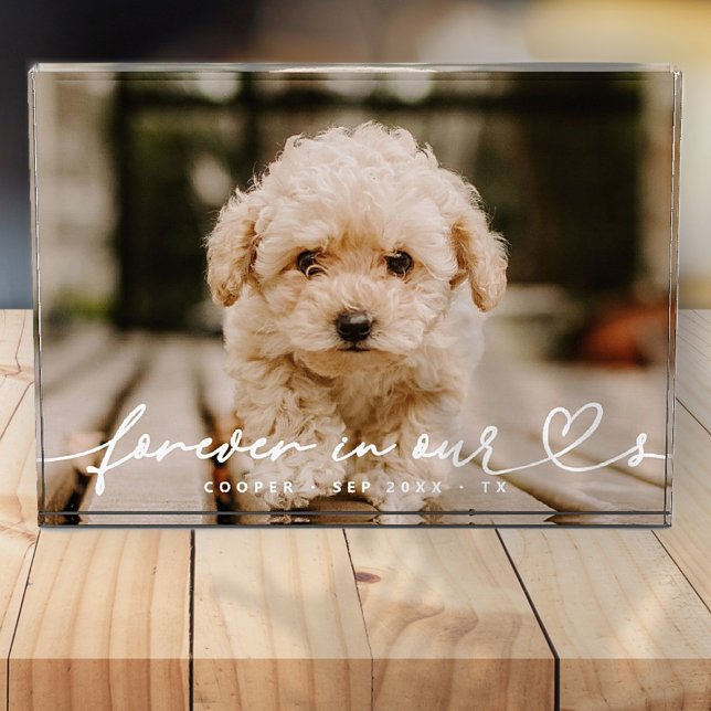 Pet Memorial Forever Hearts Simple Modern Photo Block (Creator Uploaded)