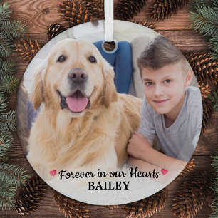 Pet Memorial Forever in our Hearts Modern 1 Photo Glass Tree Decoration