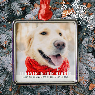 Pet Memorial Forever In Our Hearts Modern Photo Metal Tree Decoration