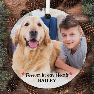 Pet Memorial Forever in our Hearts Modern Photo Metal Tree Decoration