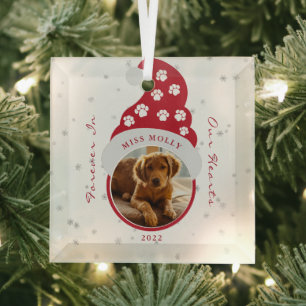 Pet Memorial Forever In Our Hearts Photo  Glass Tree Decoration