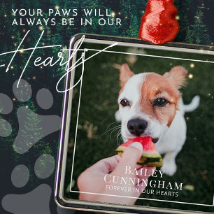 Pet Memorial Forever In Our Hearts Photo Keepsake Metal Tree Decoration