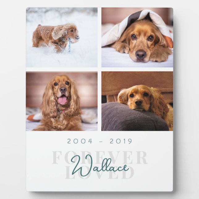 Pet Memorial Forever Loved Elegant 4 Photo Collage Plaque (Front)