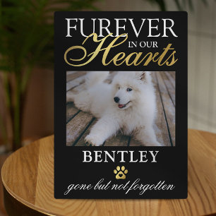 Pet Memorial   Furever in our Heart Photo Plaque
