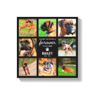 Pet Memorial Gift | In Loving Memory 8 Photo
