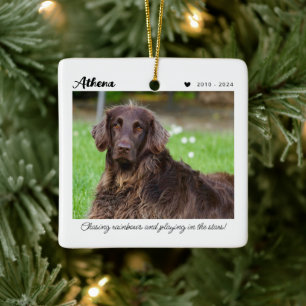 Pet Memorial Gift In Loving Memory Ceramic Ornament