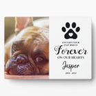 Pet Memorial Gift | In Loving Memory