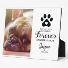 Pet Memorial Gift | In Loving Memory