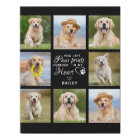 Pet Memorial Gift Personalised Pet Loss Keepsake