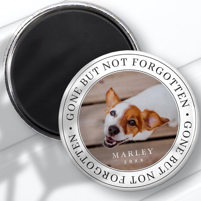 Pet Memorial Gone But Not Forgotten Modern Photo Magnet (Creator Uploaded)