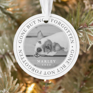Pet Memorial Gone But Not Forgotten Modern Photo Ornament