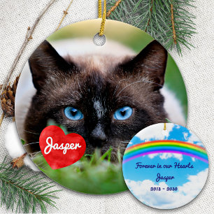 Pet Memorial In Loving Memory Cat Photo Ceramic Tree Decoration