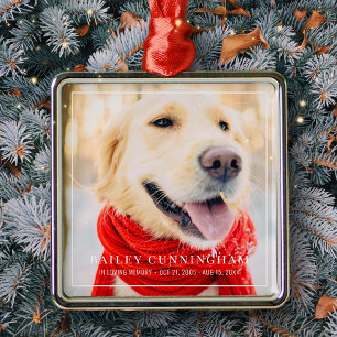 Pet Memorial In Loving Memory Framed Photo Metal Tree Decoration