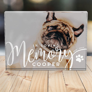 Pet Memorial In Loving Memory Paw Simple Modern Photo Block