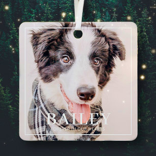Pet Memorial Keepsake Forever In Our Hearts Photo Metal Tree Decoration