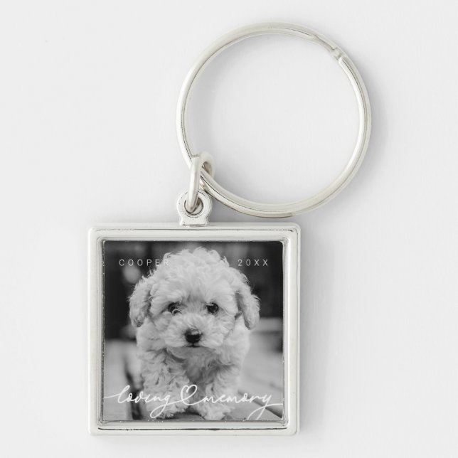 Pet Memorial Loving Memory Simple Modern Photo Key Ring (Front)