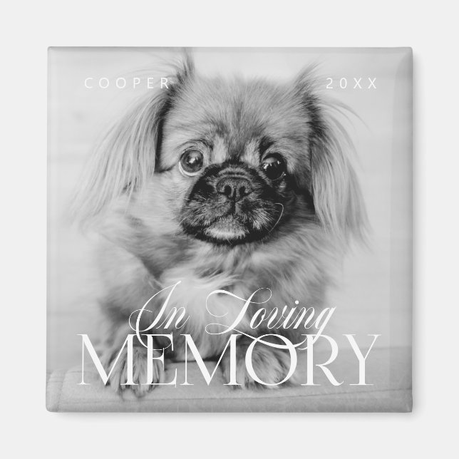 Pet Memorial Loving Memory Simple Modern Photo Magnet (Front)