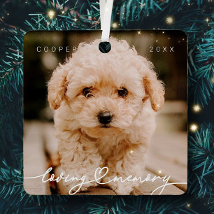 Pet Memorial Loving Memory Simple Modern Photo Metal Tree Decoration