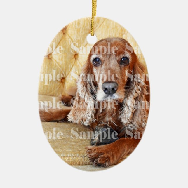 Pet memorial memory / PERSONALIZE photo Ceramic Tree Decoration (Front)