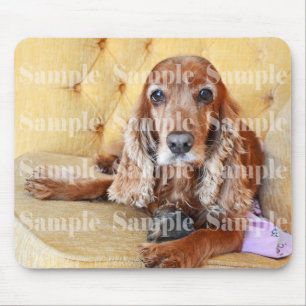 Pet memorial memory / PERSONALIZE photo Mouse Mat