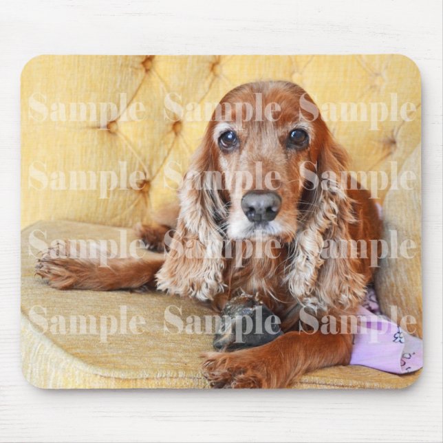 Pet memorial memory / PERSONALIZE photo Mouse Mat (Front)