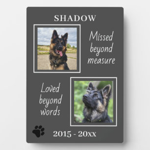 Pet Memorial Missed Beyond Measure Photo Plaque