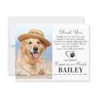 Pet Memorial Modern Photo Dog Loss Sympathy