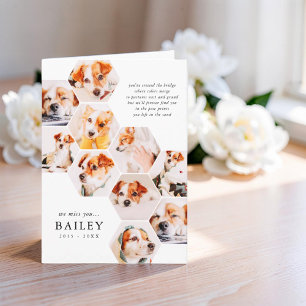 Pet Memorial Modern Simple 10 Photo Collage Card