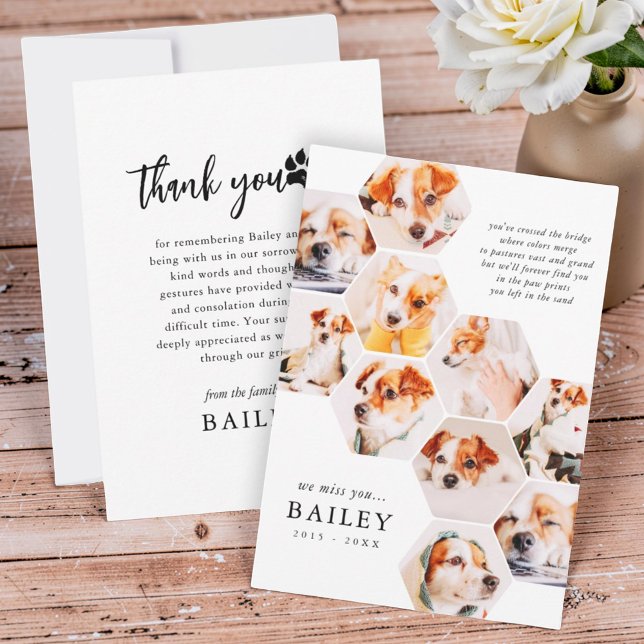 Pet Memorial Modern Simple 10 Photo Collage Thank You Card (Creator Uploaded)