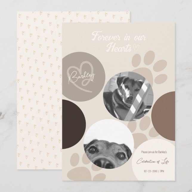 Pet Memorial Modern Simple Celebration of Life Announcement (Front/Back)