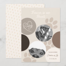 Pet Memorial Modern Simple Celebration of Life