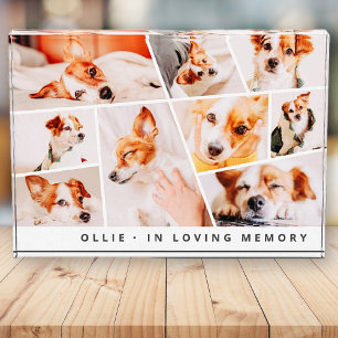 Pet Memorial Modern Simple Chic Collage Photo Block