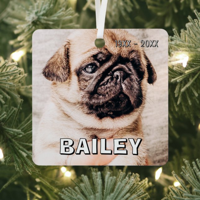 Pet Memorial Modern Simple Custom Photo Metal Tree Decoration (Insitu)