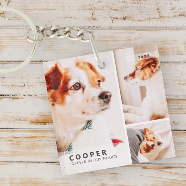 Pet Memorial Modern Simple Geometric Photo Collage Key Ring (Creator Uploaded)