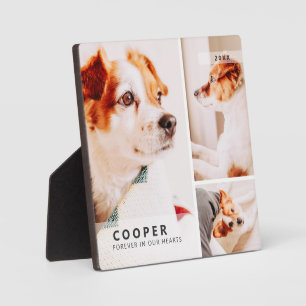 Pet Memorial Modern Simple Geometric Photo Collage Plaque