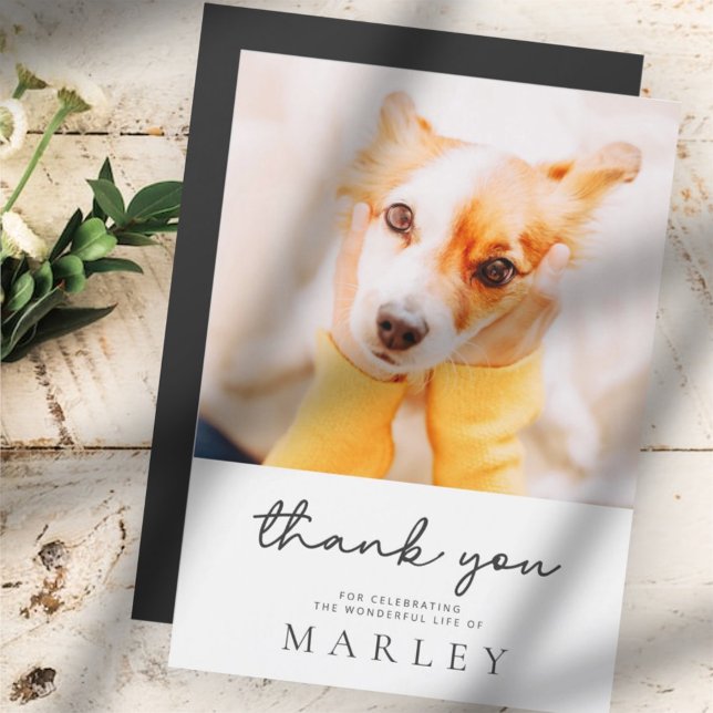 Pet Memorial Modern Simple Minimalist Chic Photo (Creator Uploaded)