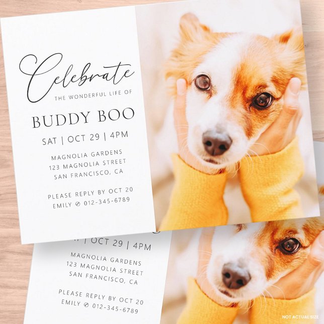 Pet Memorial Modern Simple Minimalist Chic Photo Postcard (Creator Uploaded)