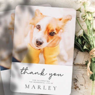 Pet Memorial Modern Simple Minimalist Chic Photo Thank You Card